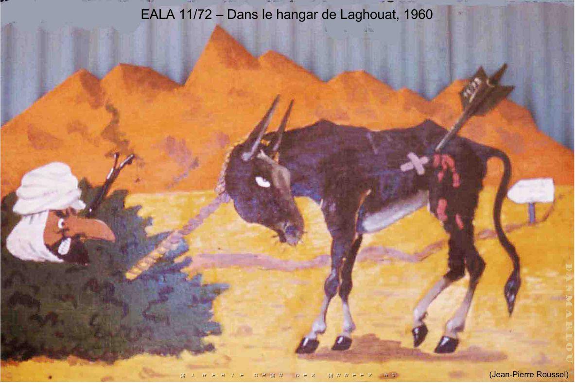 187- ARMEE DE L'AIR EN ALGERIE 1945-1962-35 (97).jpg